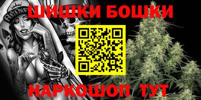 индика Тверь